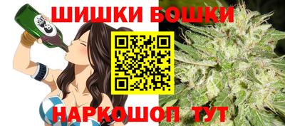 МДПВ Будённовск