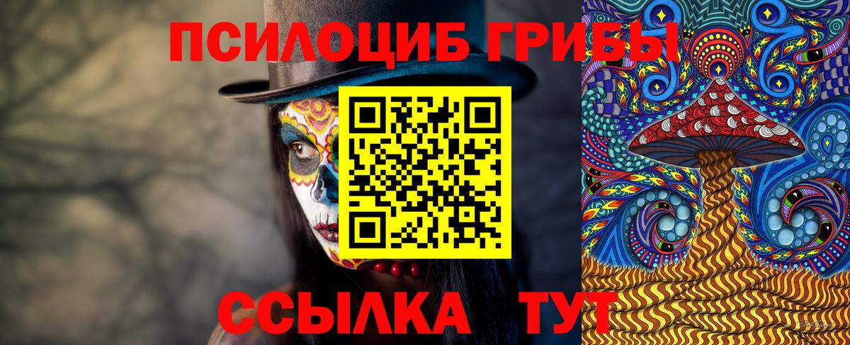 Галлюциногенные грибы мухоморы Электрогорск