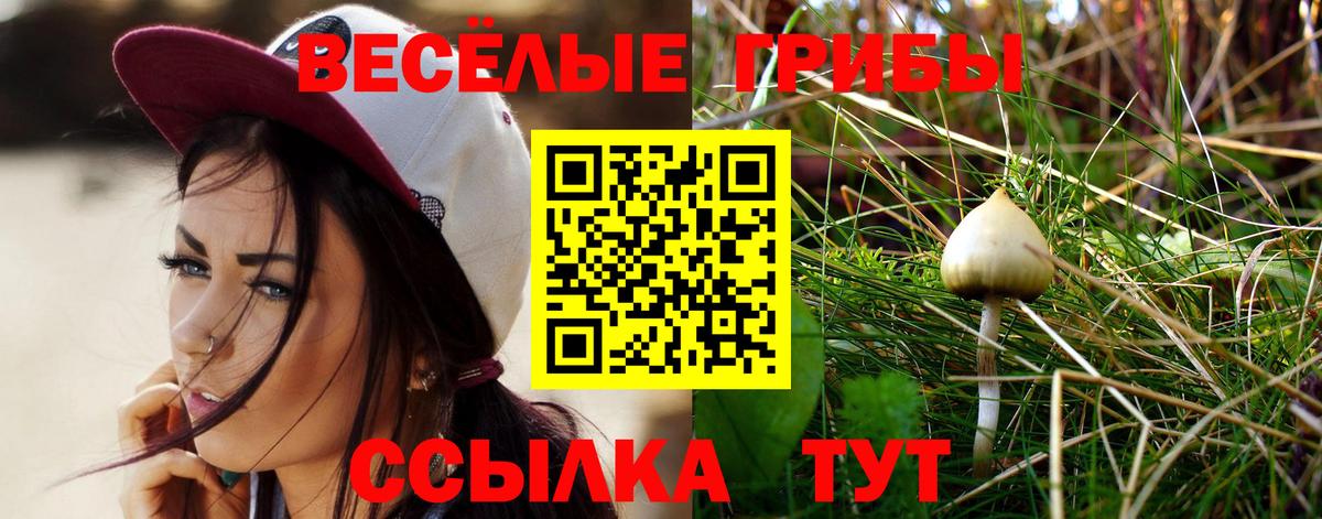 Электрогорск  купить наркотик  Вход с VPN  Галлюциногенные грибы мухоморы 